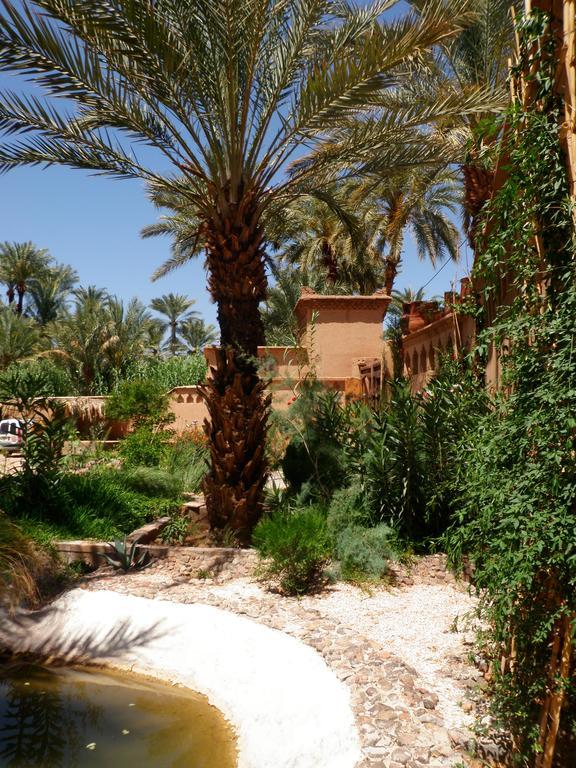 Ecolodge Bab El Oued Maroc Oasis Agdz Exterior foto