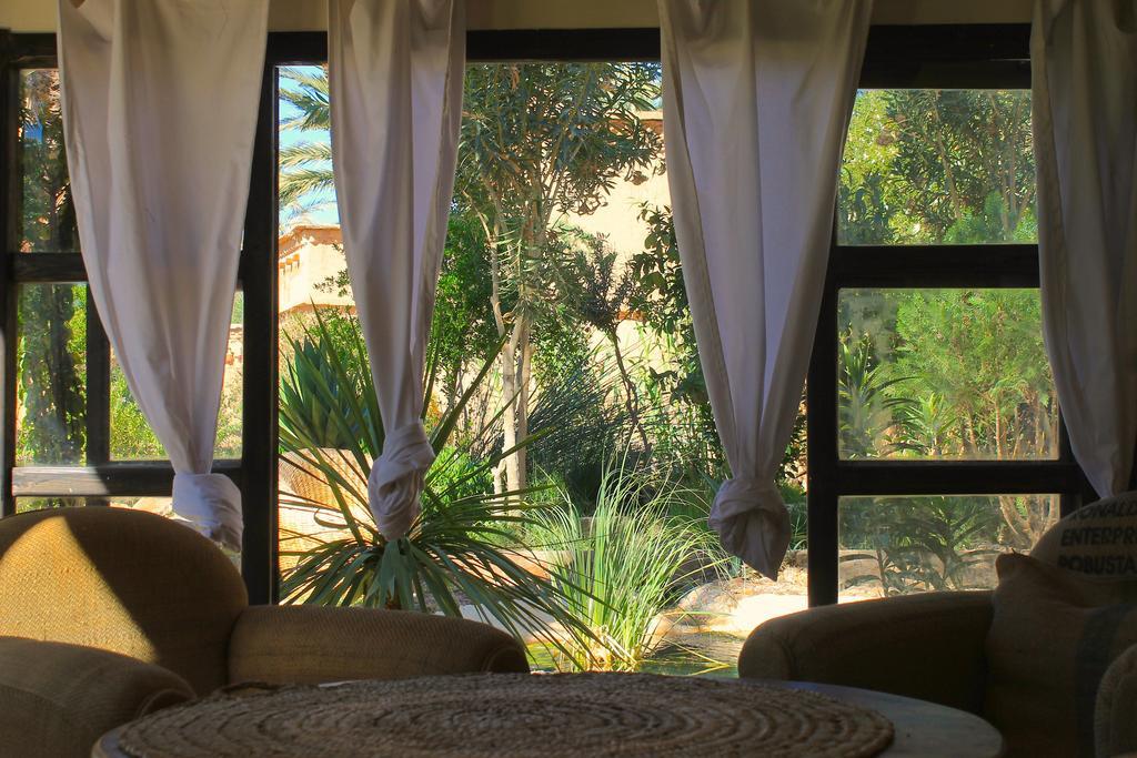 Ecolodge Bab El Oued Maroc Oasis Agdz Exterior foto