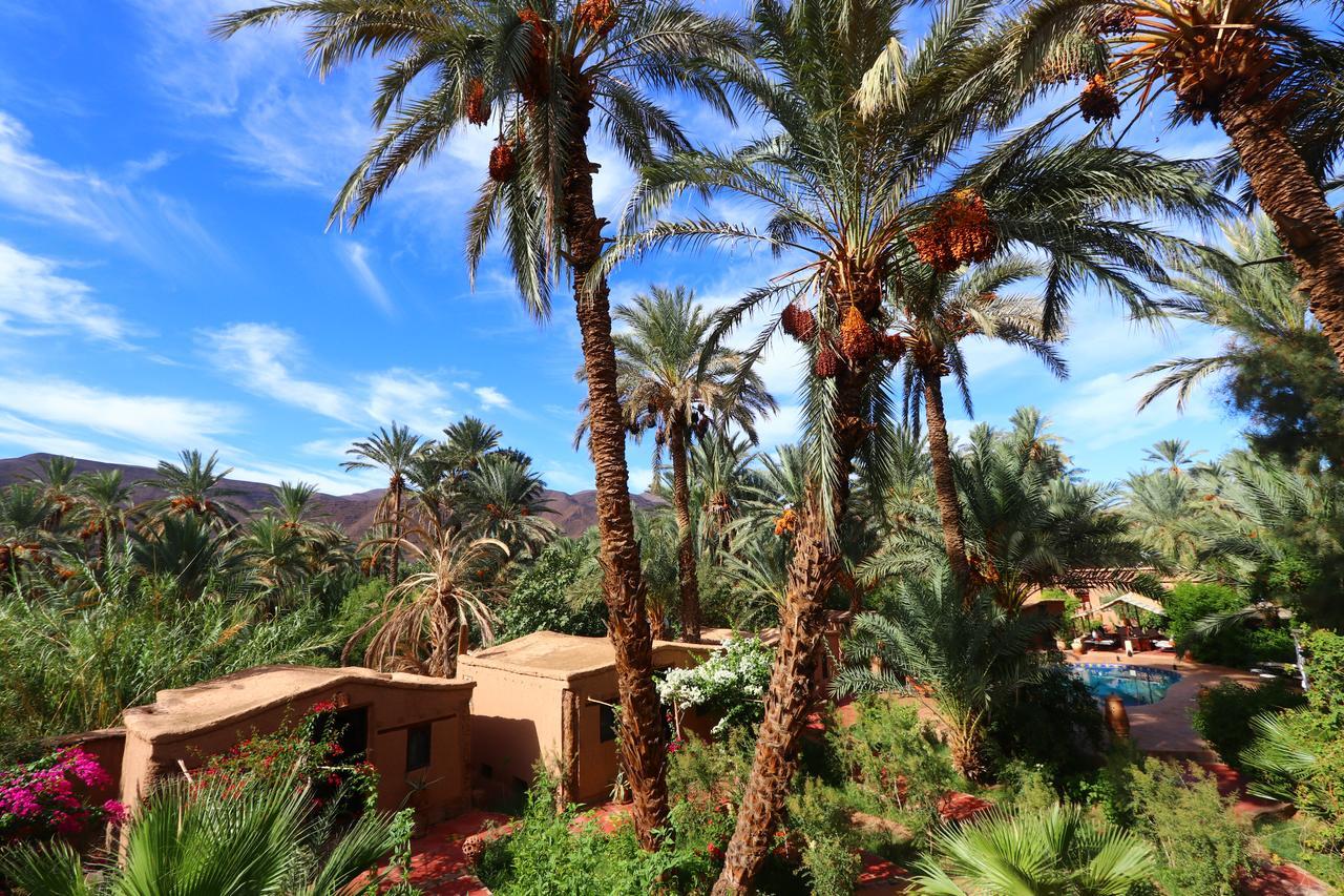 Ecolodge Bab El Oued Maroc Oasis Agdz Exterior foto