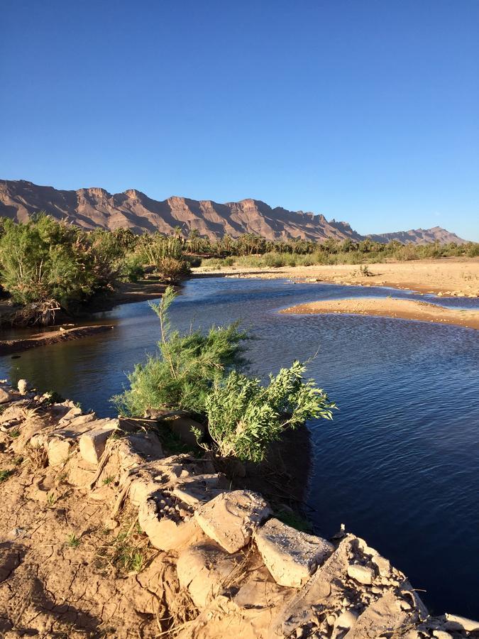 Ecolodge Bab El Oued Maroc Oasis Agdz Exterior foto
