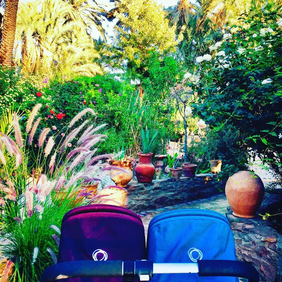 Ecolodge Bab El Oued Maroc Oasis Agdz Exterior foto